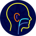 Advanced Otolaryngology